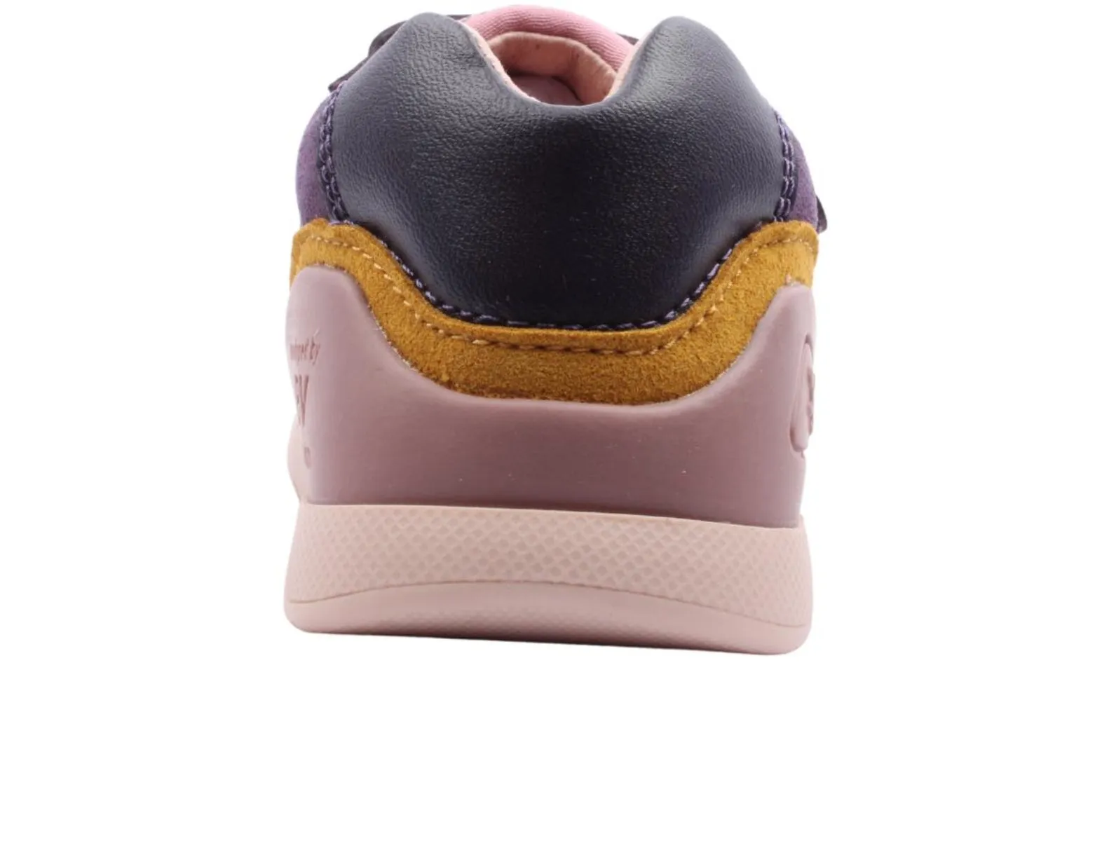 Biomecanics 241110-D783 - Plum