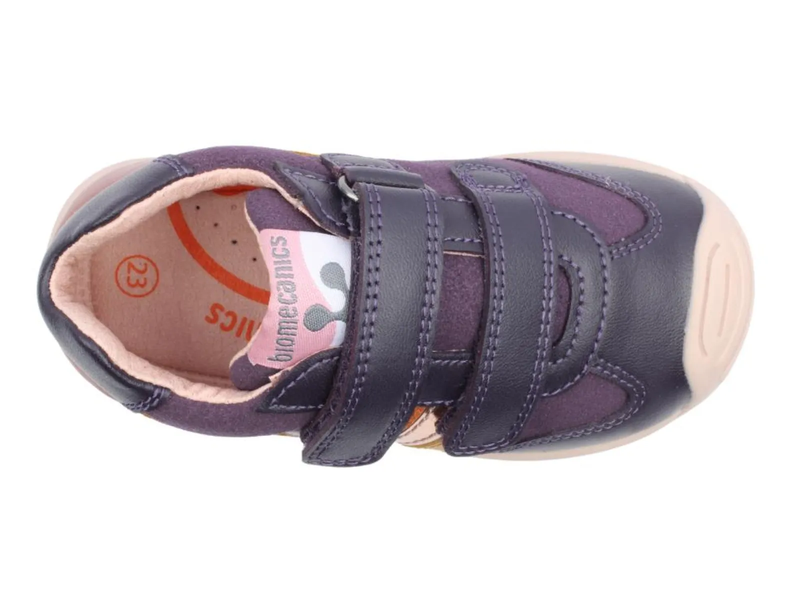 Biomecanics 241110-D783 - Plum